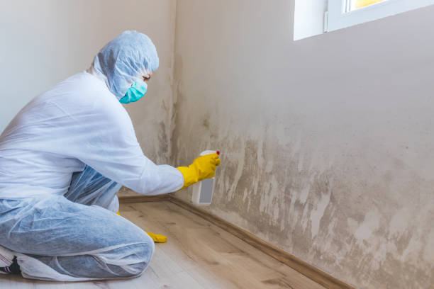 Mold Remediation specialist working in Pineville
